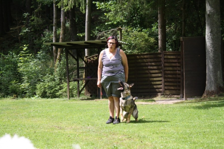 Obedience-Seminar mit Gerlinde Dobler am 06.07.2014