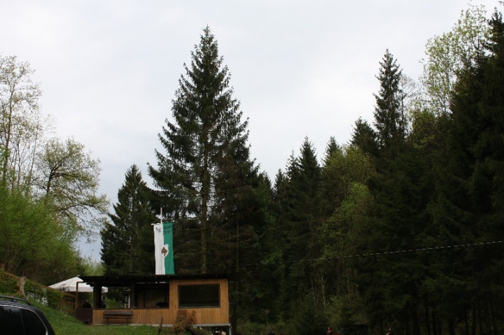 Baumfällaktion auf dem Hundeplatz