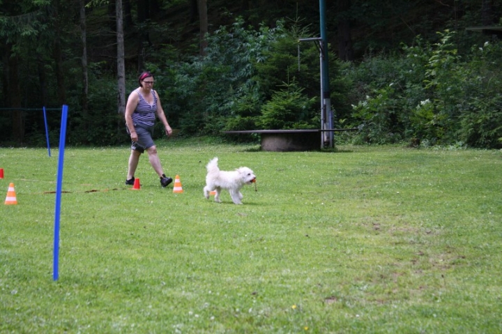 Obedience-Seminar mit Gerlinde Dobler am 06.07.2014