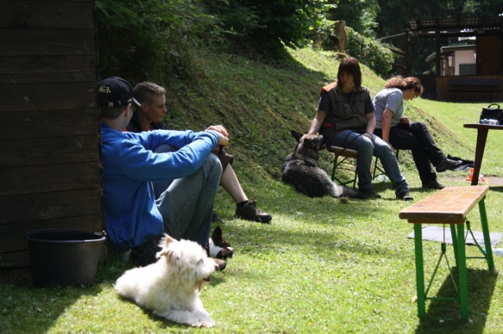 Obedience-Seminar mit Gerlinde Dobler am 06.07.2014