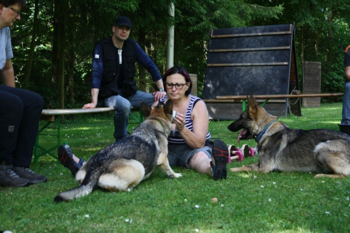 Obedience-Seminar mit Gerlinde Dobler am 06.07.2014