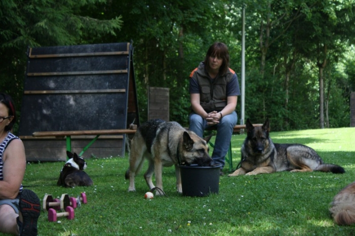 Obedience-Seminar mit Gerlinde Dobler am 06.07.2014