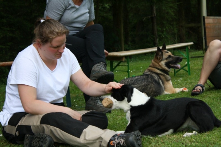 Obedience-Seminar mit Gerlinde Dobler am 06.07.2014