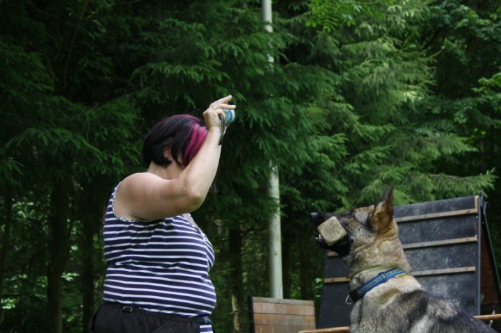 Obedience-Seminar mit Gerlinde Dobler am 06.07.2014