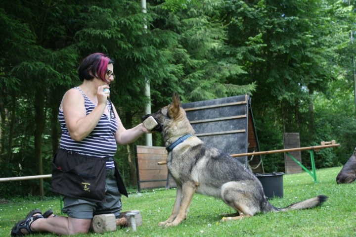 Obedience-Seminar mit Gerlinde Dobler am 06.07.2014