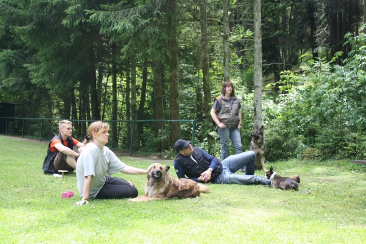 Obedience-Seminar mit Gerlinde Dobler am 06.07.2014