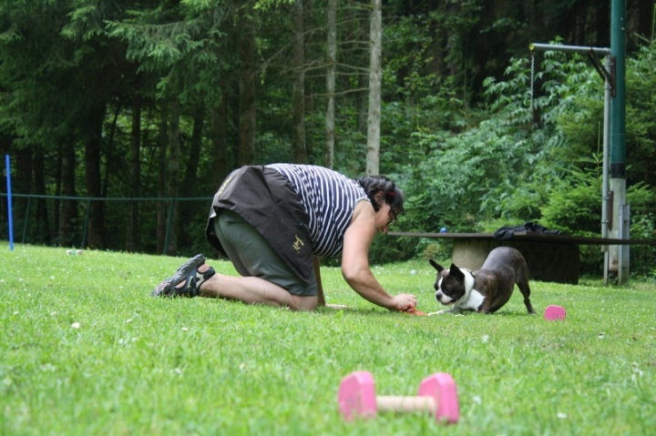 Obedience-Seminar mit Gerlinde Dobler am 06.07.2014