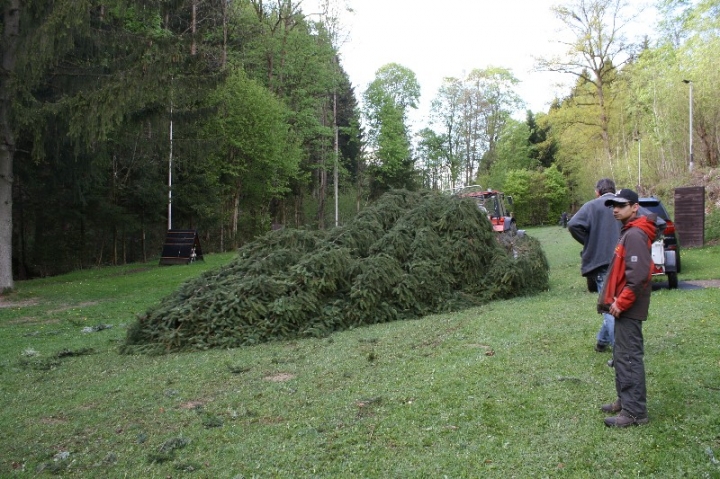 Baumfällaktion auf dem Hundeplatz