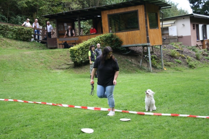 Sommerfest 2014