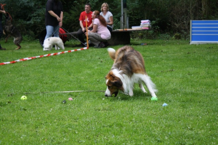 Sommerfest 2014