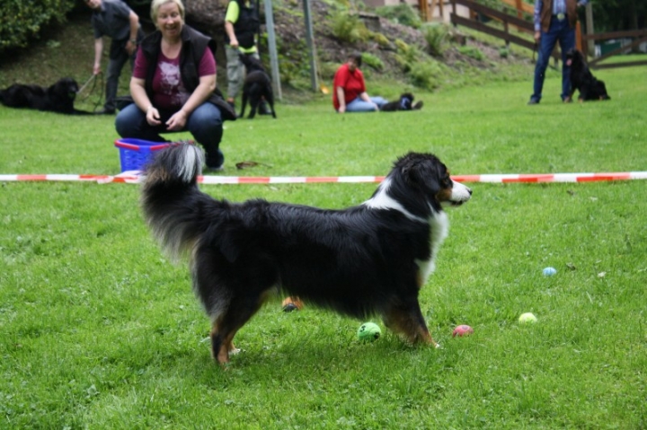 Sommerfest 2014