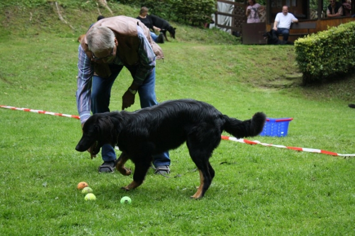 Sommerfest 2014