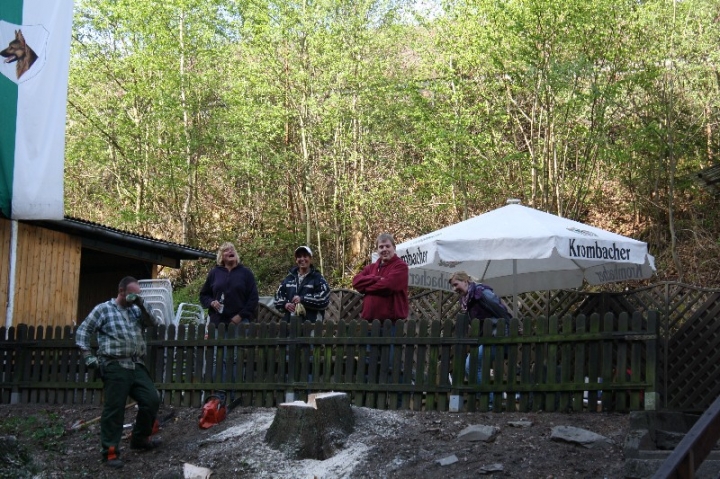 Baumfällaktion auf dem Hundeplatz