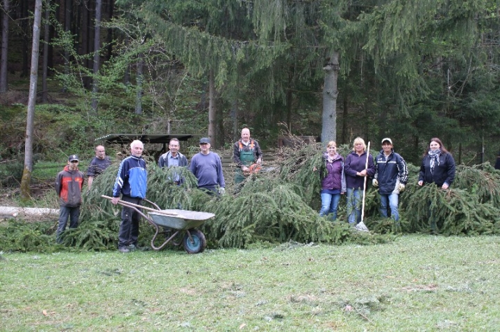 Baumfällaktion auf dem Hundeplatz