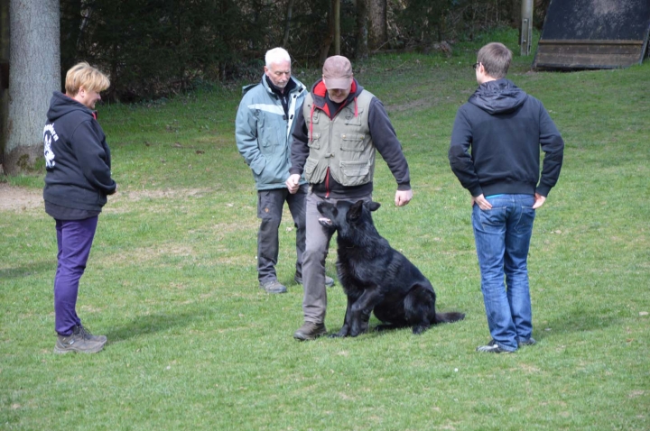 Frühjahrsprüfung 2015