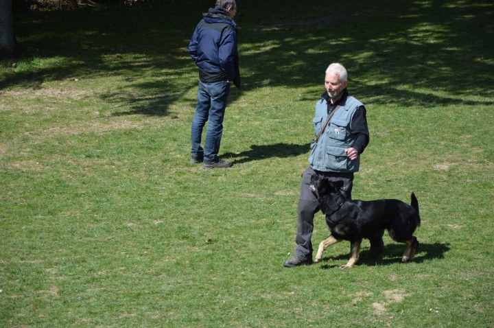 Frühjahrsprüfung 2015