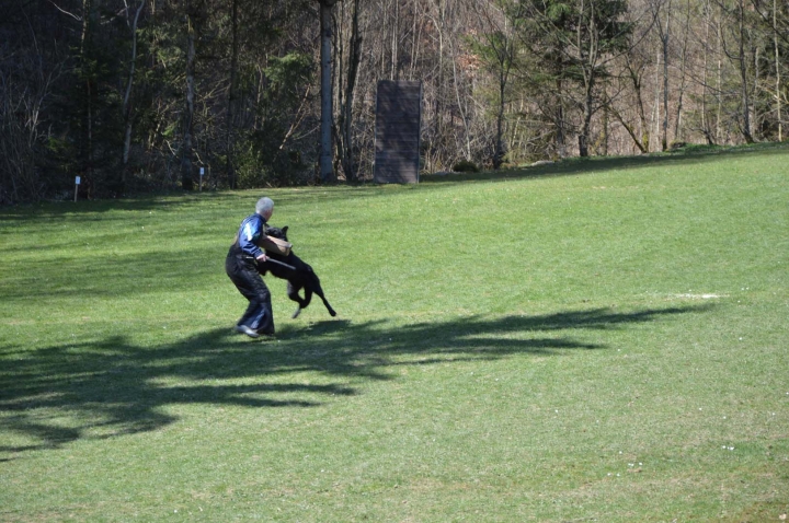 Frühjahrsprüfung 2015