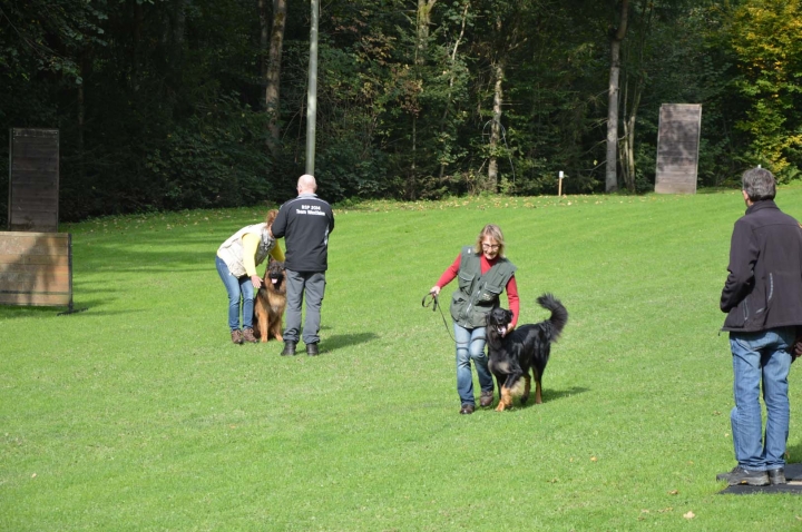 Herbstprüfung 2015