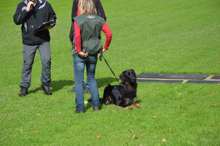 Herbstprüfung 2015