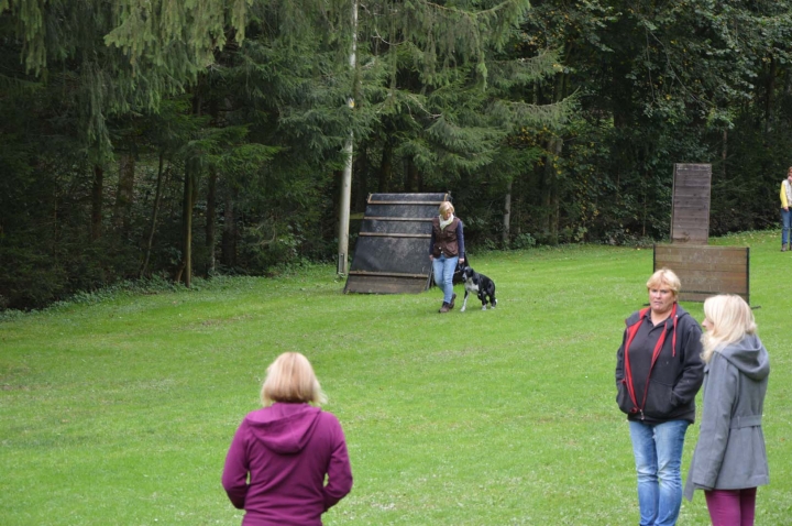 Herbstprüfung 2015