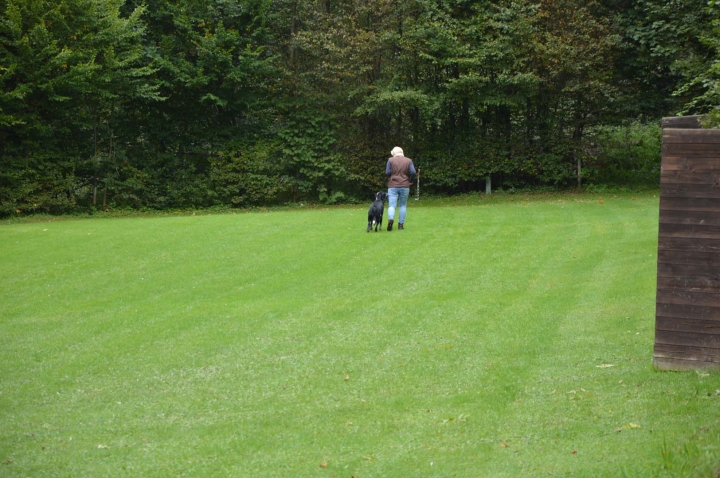 Herbstprüfung 2015