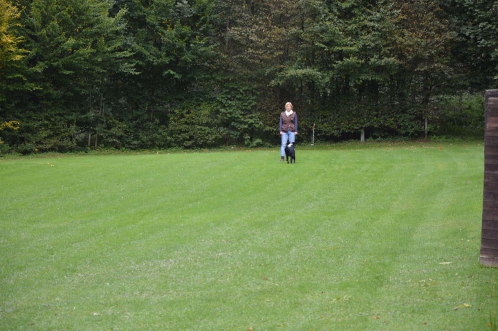Herbstprüfung 2015