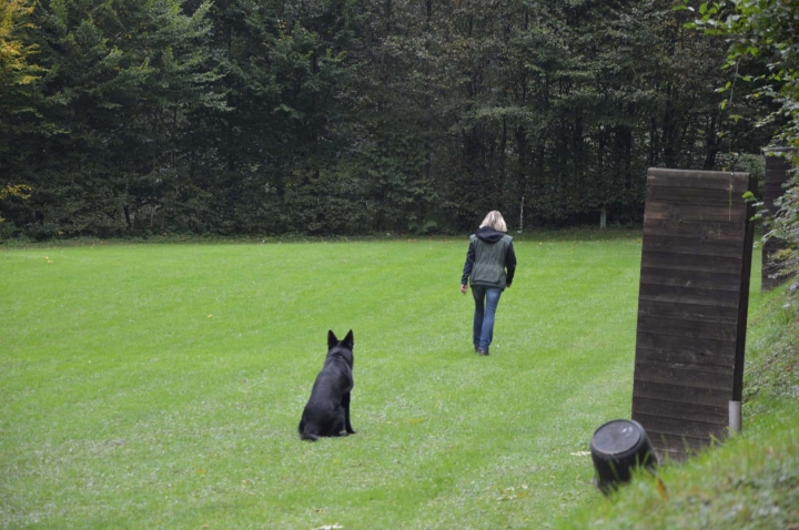 Herbstprüfung 2015