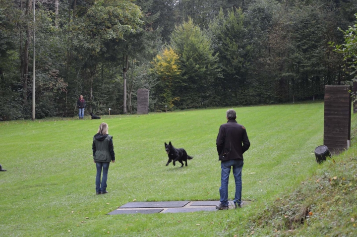 Herbstprüfung 2015