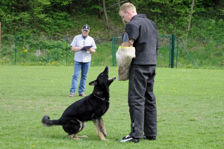 Trainingsbilder