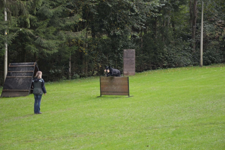 Herbstprüfung 2015