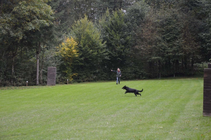 Herbstprüfung 2015