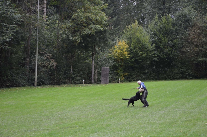 Herbstprüfung 2015