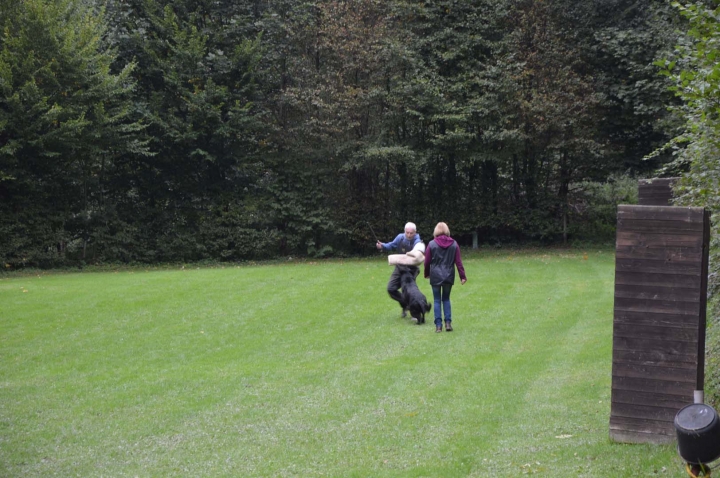Herbstprüfung 2015