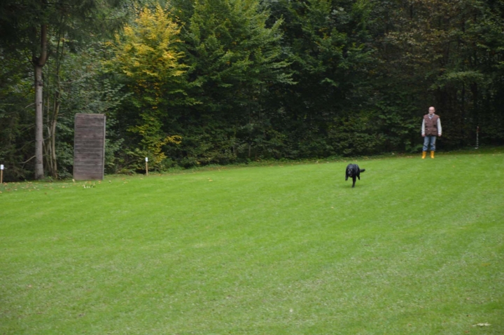 Herbstprüfung 2015
