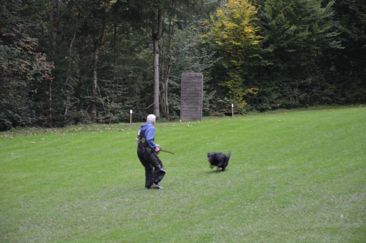 Herbstprüfung 2015