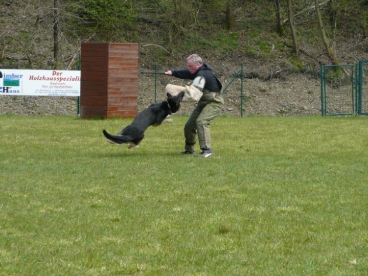 Trainingsbilder