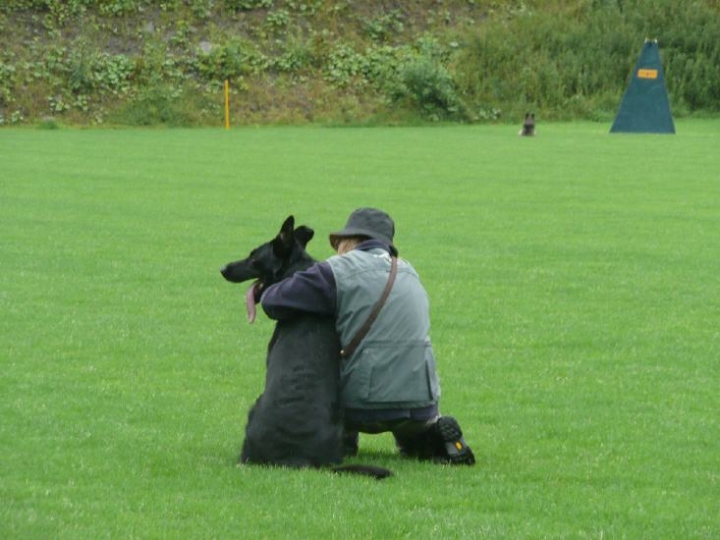 Trainingsbilder