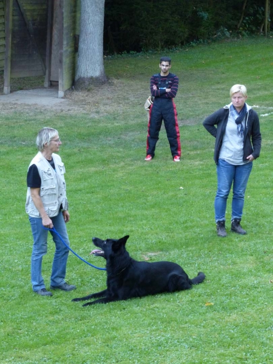 Herbstprüfung 2016 - 