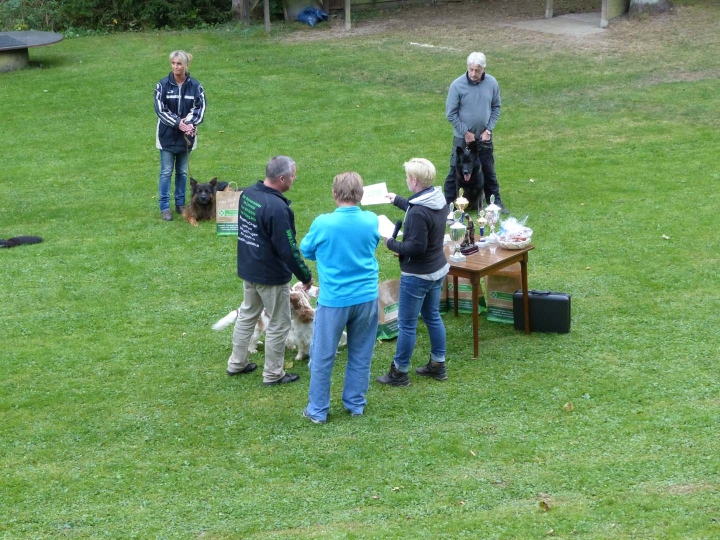 Herbstprüfung 2016 - 