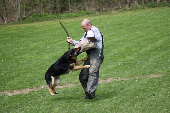 Frühjahrsprüfung am 04.05.2013