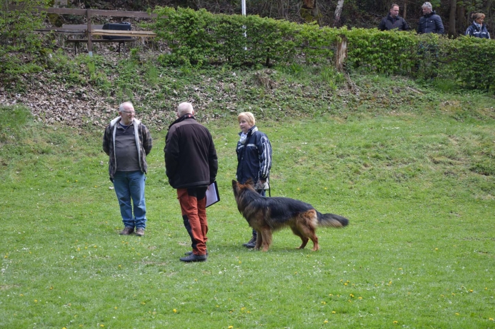IPO-Frühjahrsprüfung 2019