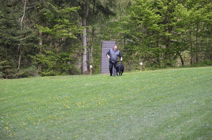 IPO-Frühjahrsprüfung 2019