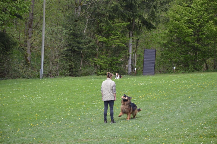 IPO-Frühjahrsprüfung 2019