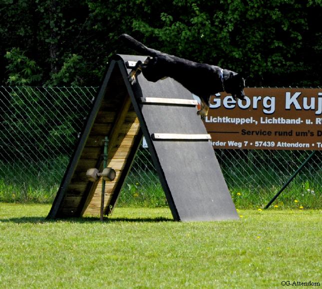 Trainingsbilder