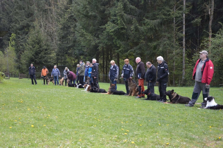 IPO-Frühjahrsprüfung 2019