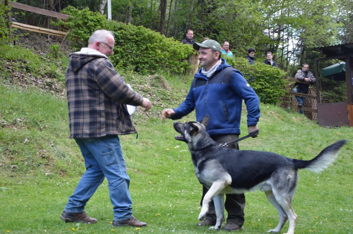 IPO-Frühjahrsprüfung 2019