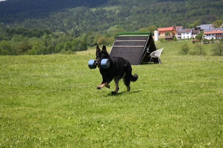 Urlaub Deggendorf 2013