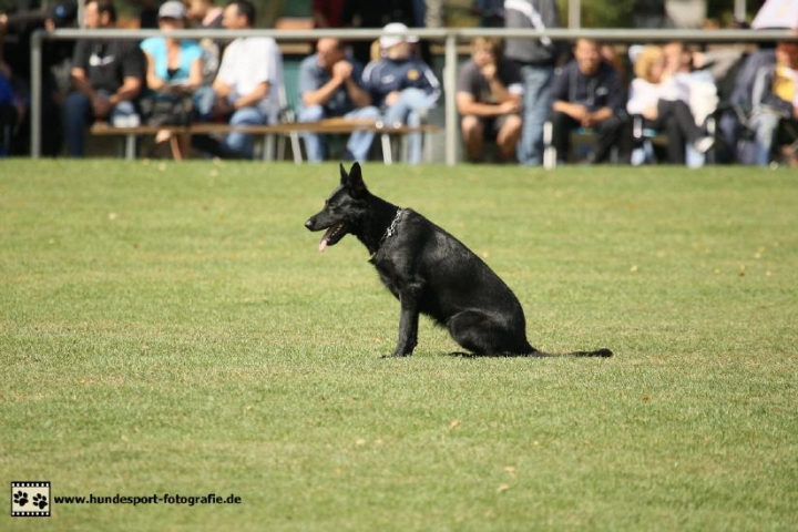 LGA 2009in Rorup