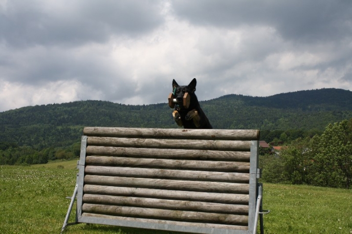 Urlaub Deggendorf 2013