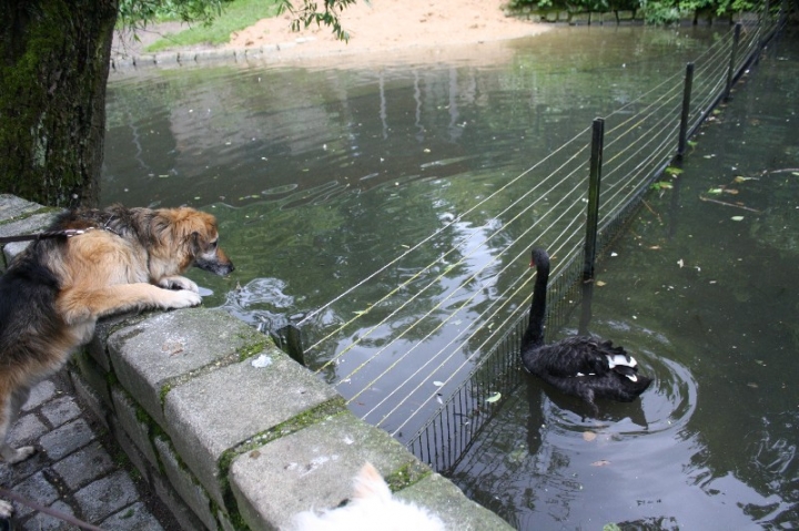 Urlaub Deggendorf 2013